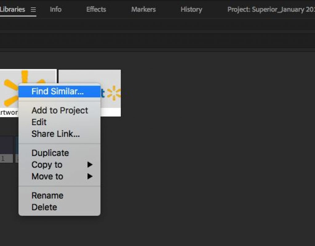 Adobe Premiere Pro Find Similar