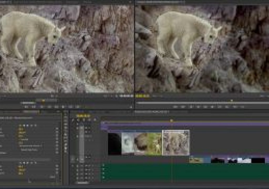 Adobe Reveals Next Wave of Innovation for Creative Cloud Video Apps at NAB 3