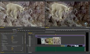 Adobe Reveals Next Wave of Innovation for Creative Cloud Video Apps at NAB 2