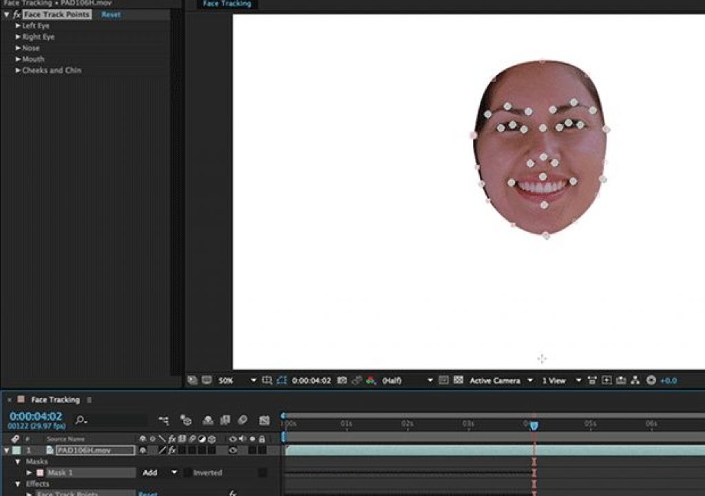 Putting Detailed Face Tracking to Work in AE CC 2015 1