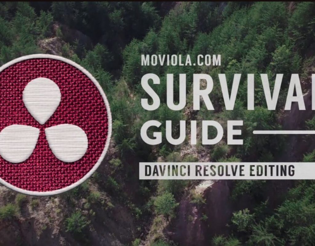 Surviving the software jungle 5