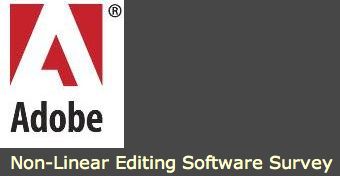 adobe-survey.png