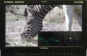 Incredible New Features for FSI Broadcast Monitors 1