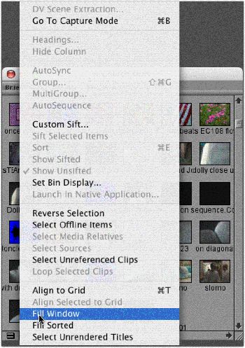 fillwindowgem2.gif