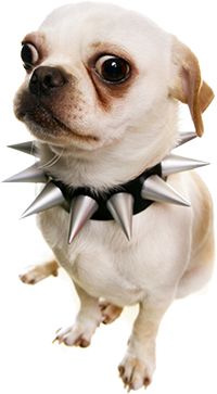 iStock_000002717937_Small.png