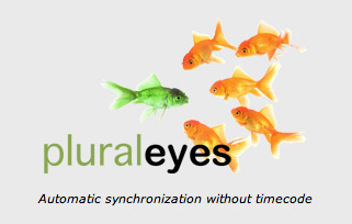 pluraleyes-logo.png