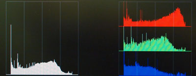 New Features on FSI Monitors Addition of Histogram and Color Histogram Scopes 2