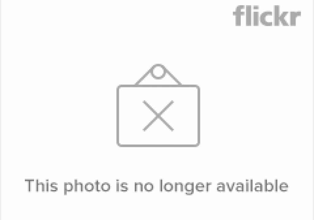 150123843_62968e16e6_m.png