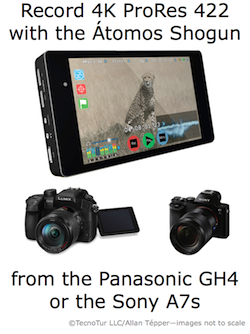 Átomos announces Shogun 4K 4:2:2 recorder/monitor w/ balanced audio 38