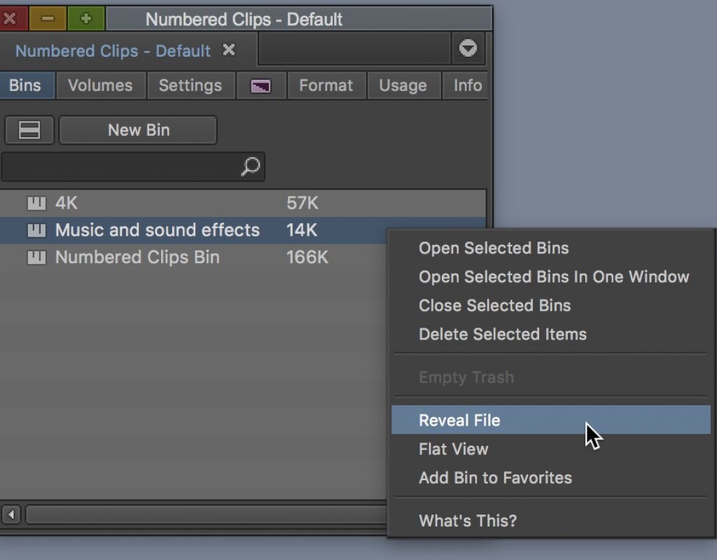 Avid Media Composer reveal file bin