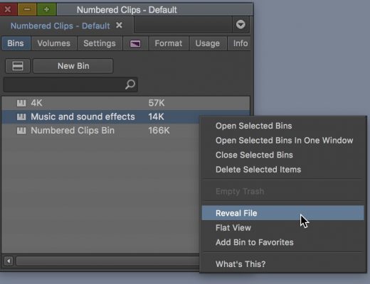 Avid Media Composer reveal file bin