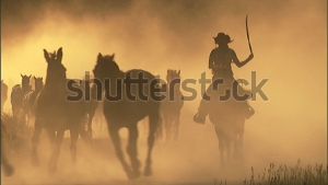 Shutterstock Surpasses 1 Million High-Quality Video Clips 3