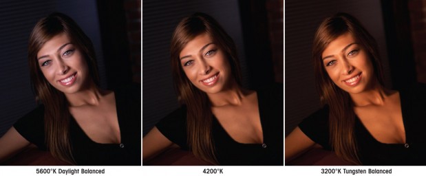 Litepanels&reg; New 1x1 Bi-Color LED Light 1