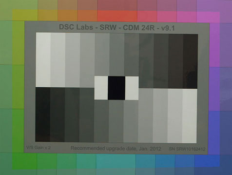 CAMERAS: More Thoughts on Canon's Color Science, This Time with Pictures 14