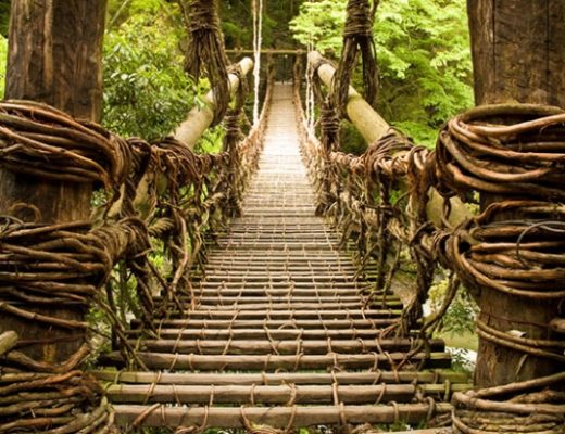 48 fps: A Bridge Too Near? 9