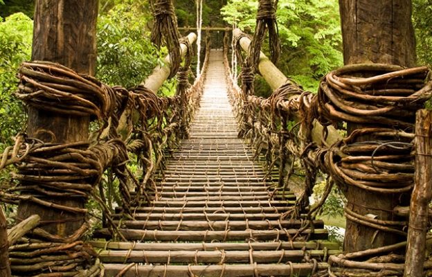 48 fps: A Bridge Too Near? 1