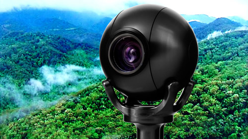 Camera Corps Q-Balls track celebrities in the Australian jungle 4