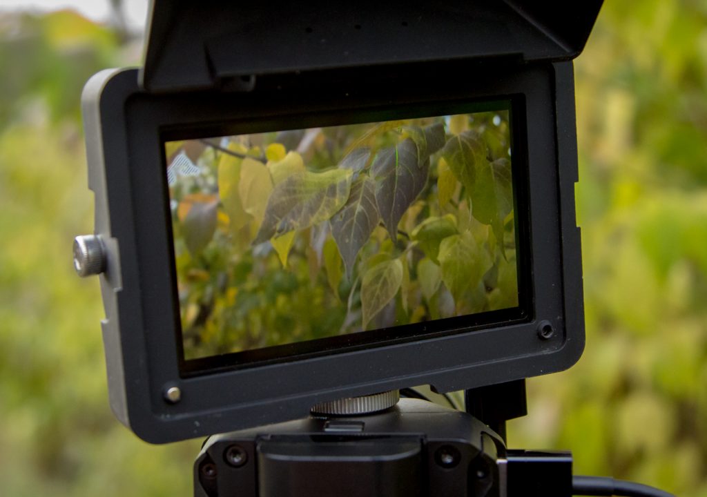 Micro Studio Camera 4K Released by Blackmagic Design 1