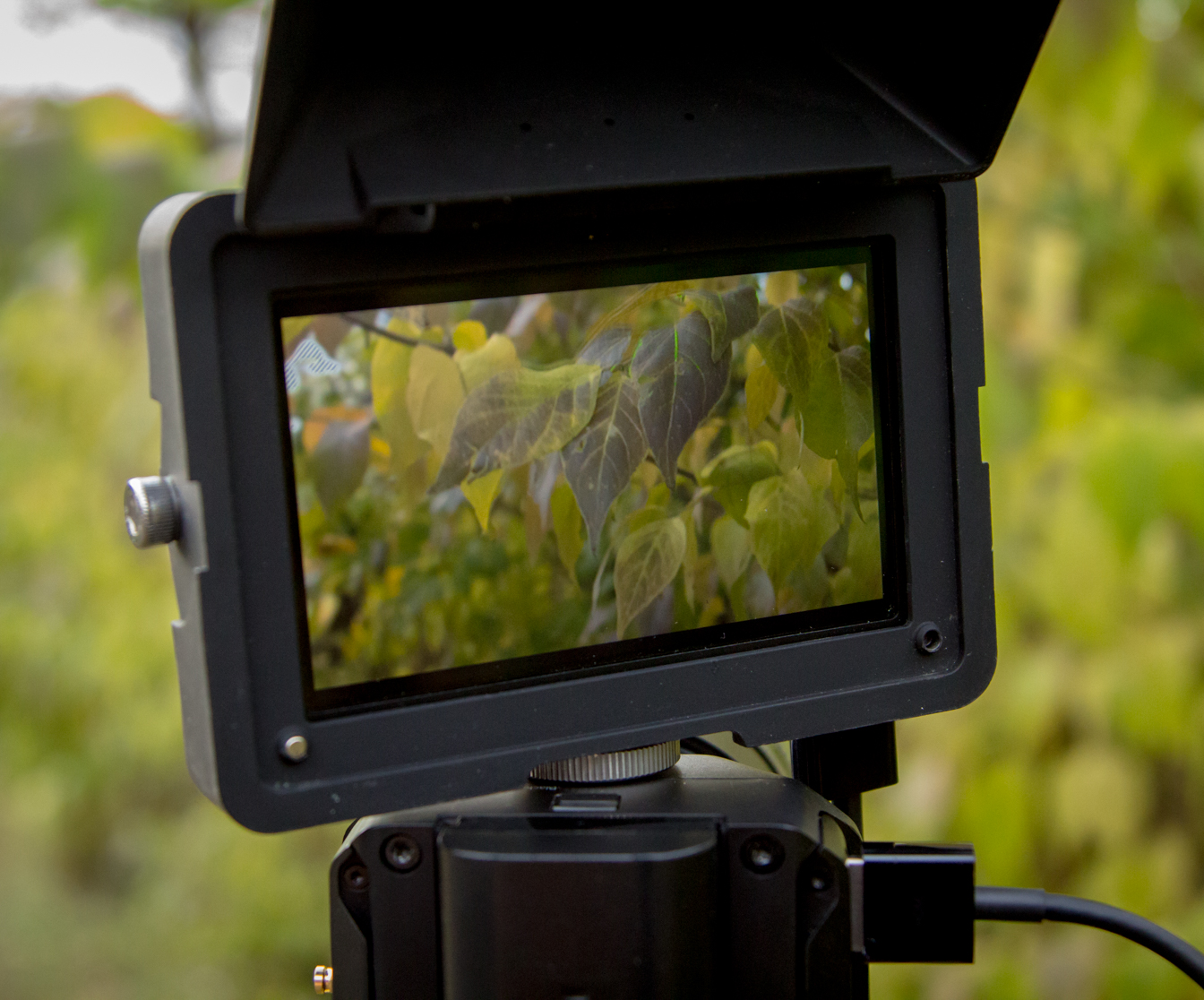 Micro Studio Camera 4K Released by Blackmagic Design 4