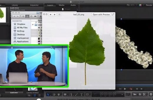 Creating Custom Paint Brushes in Motion 1