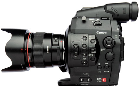 CAMERAS: Thoughts on the Canon C300's Color Science 3