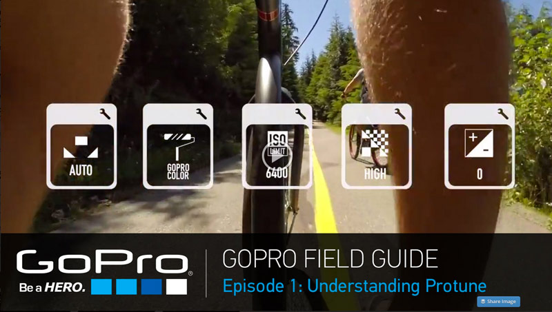 GoPro Launches New Field Guide Video Series 16