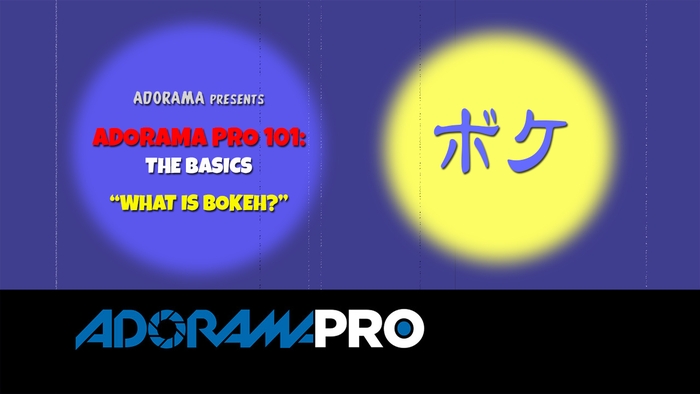 Adorama Pro 101: The Basics - What is Bokeh? 13