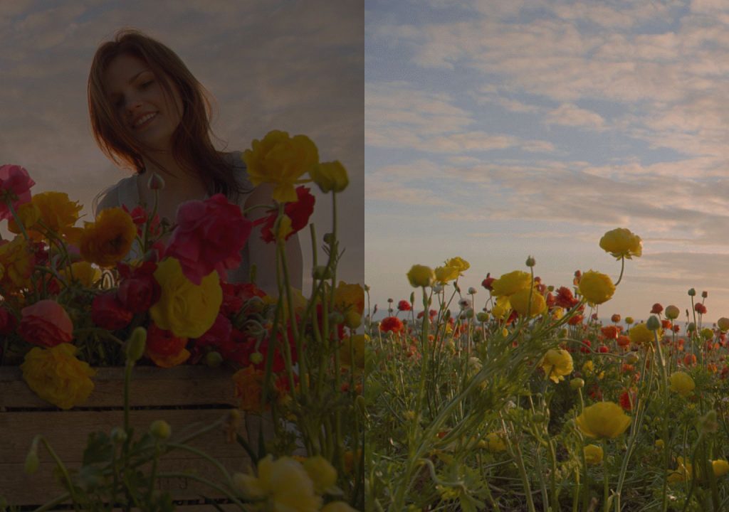Dolby Gives Us Improvements to Visual and Audio Experiences That Make a Difference 7