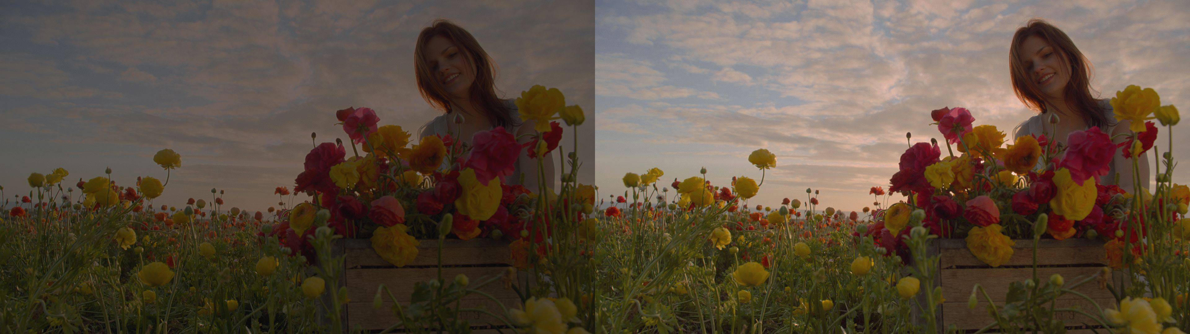 Dolby Gives Us Improvements to Visual and Audio Experiences That Make a Difference 17