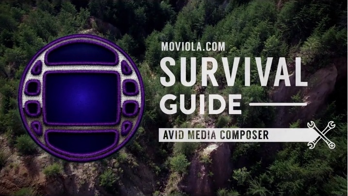 Learn AVID now (and FAST) 5
