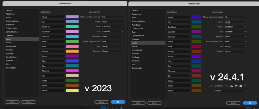 Understanding the new label color and icons in the 2024 Adobe Premiere Pro update 3