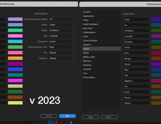 Understanding the new label color and icons in the 2024 Adobe Premiere Pro update 12