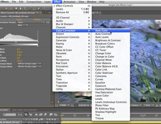 Applying Auto Color in Adobe After Effects