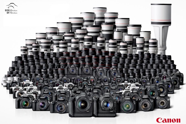 Choosing the perfect lens 15