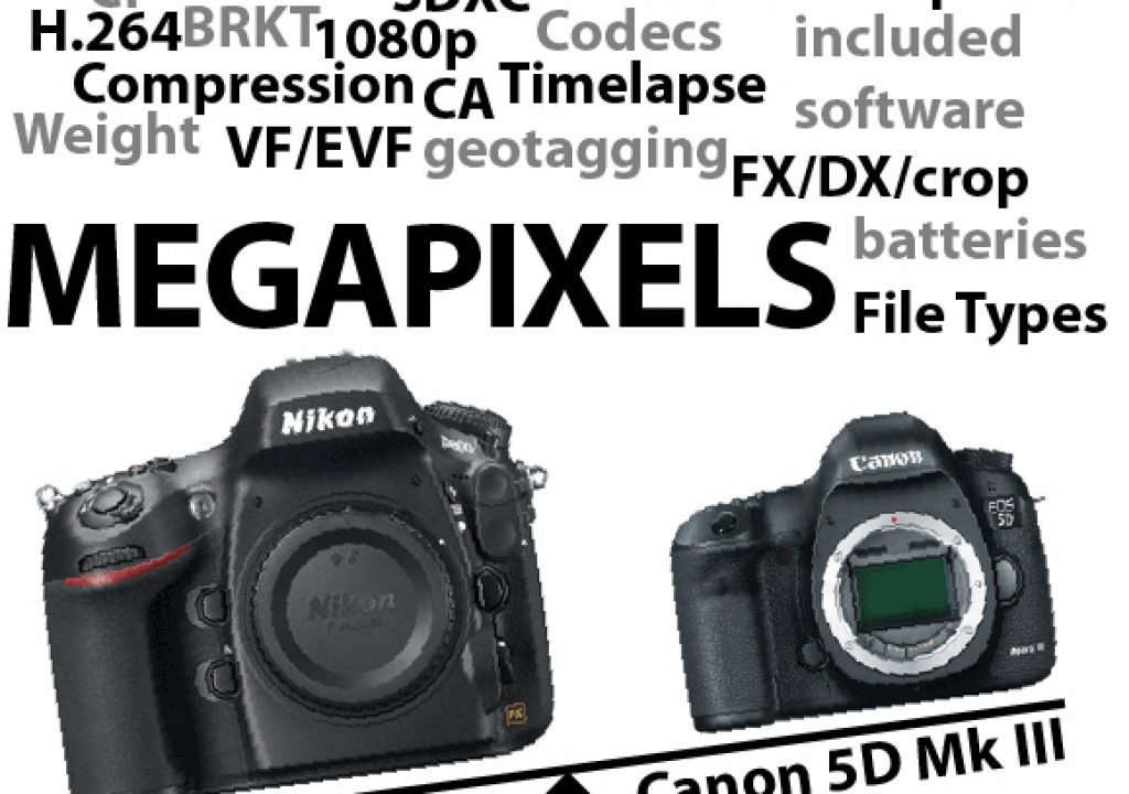 D800megapixelsgraphic1.jpg