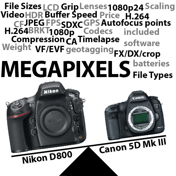 D800megapixelsgraphic1.jpg