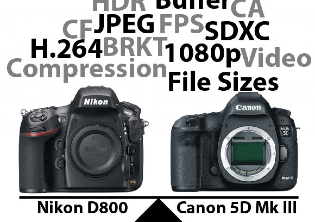 D800vs5DMkIIIgraphic1-1.jpg