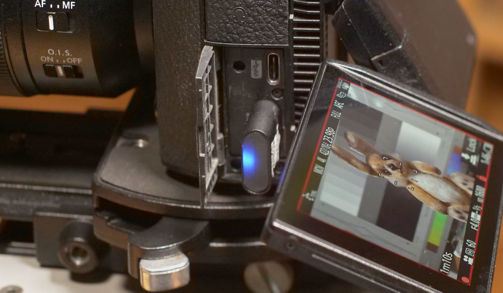 The S1H's display is fully usable even with things plugged into the camera