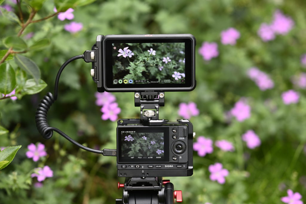 Sigma FP and Atomos Ninja V
