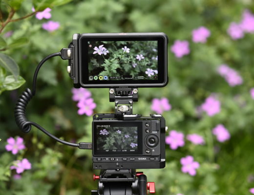 Sigma FP and Atomos Ninja V