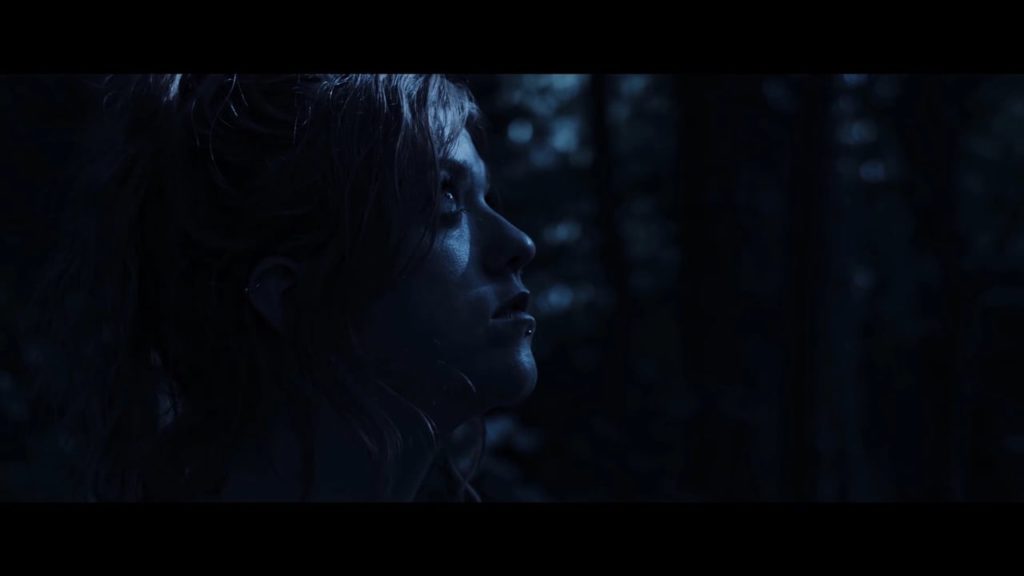 dayfornight01