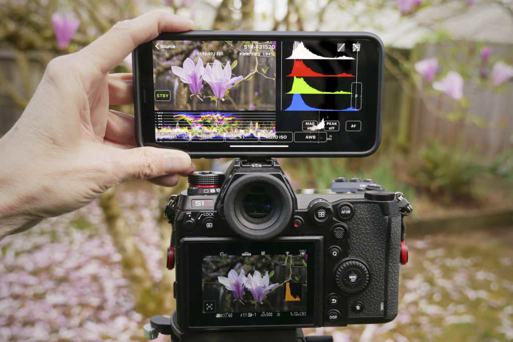 FieldMonitor working with a DC-S1R camera