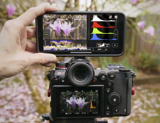 FieldMonitor working with a DC-S1R camera