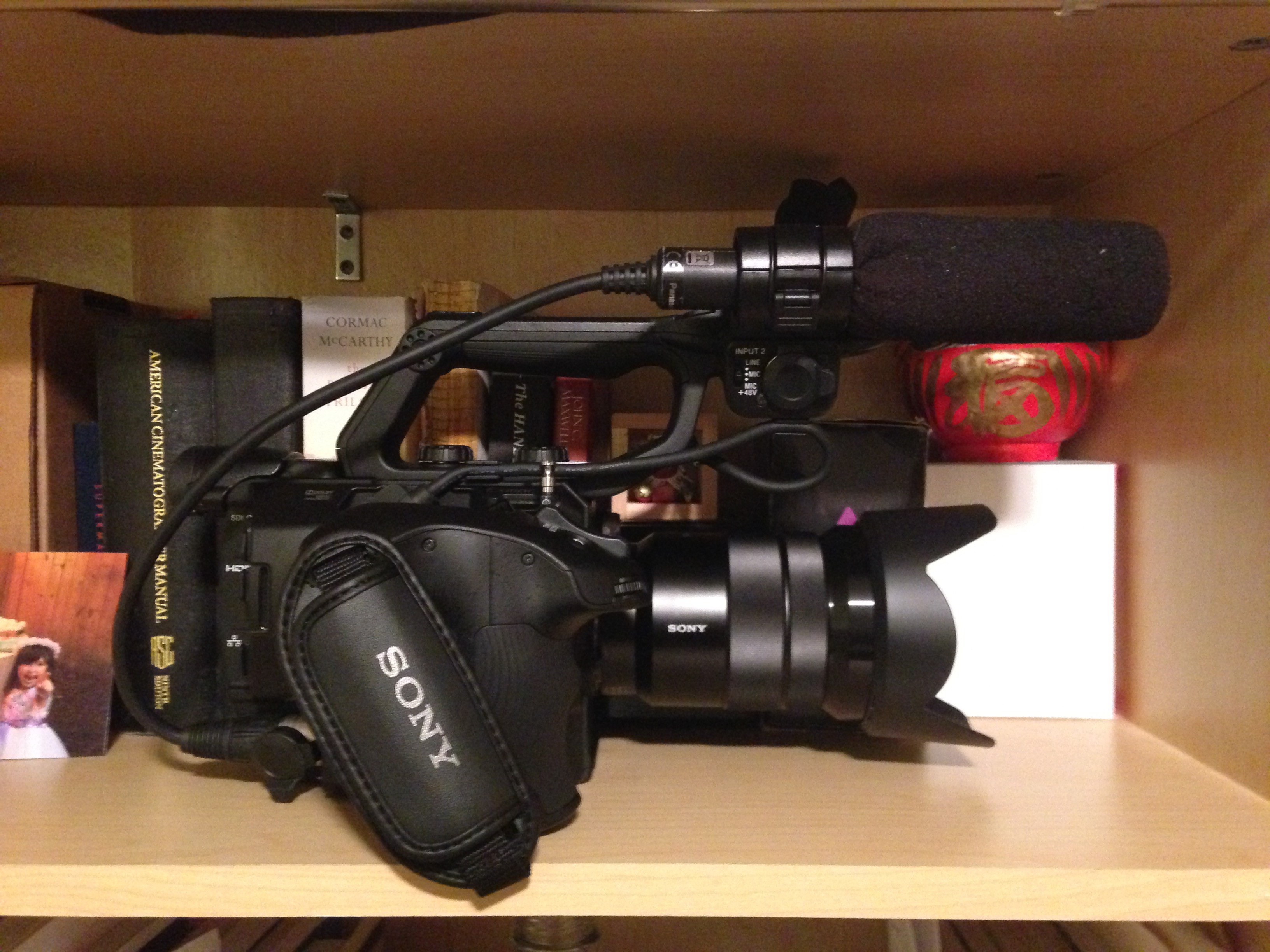 Sony FS5 Camera Review 3