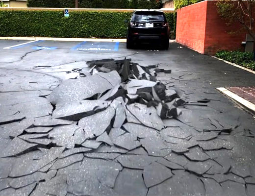 landsharks