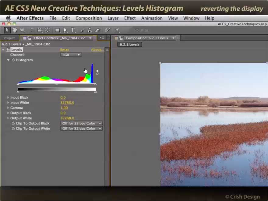 Color Histogram in After Effects Levels