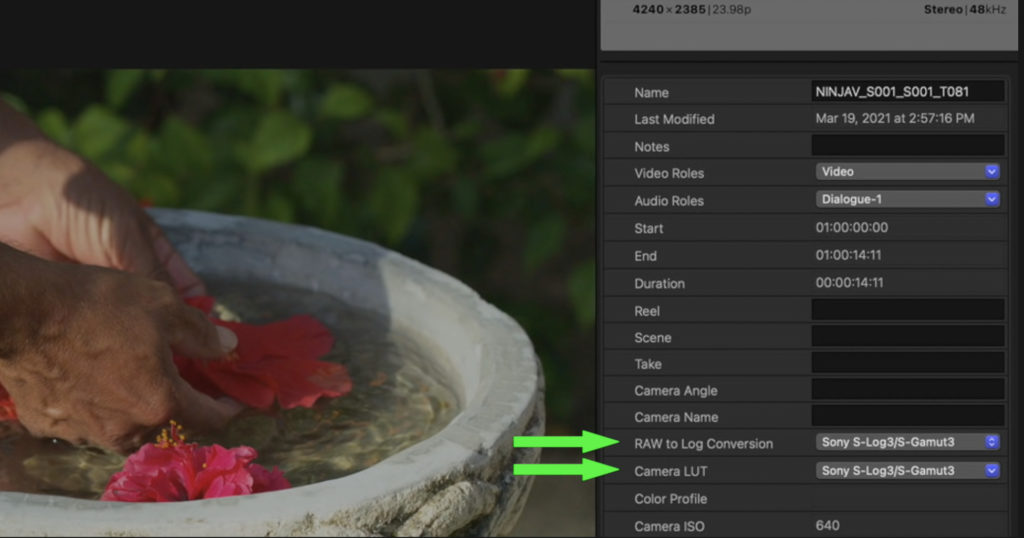 Working with ProRes RAW in Final Cut Pro 1