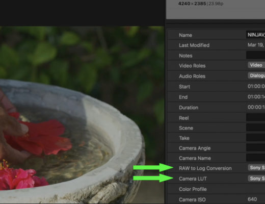 Working with ProRes RAW in Final Cut Pro 4