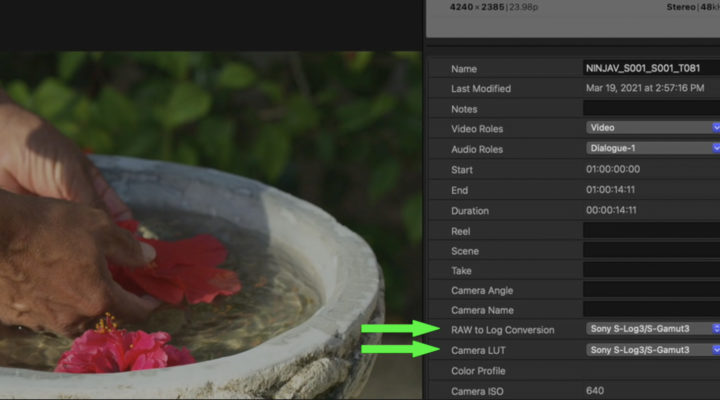 Working with ProRes RAW in Final Cut Pro 1
