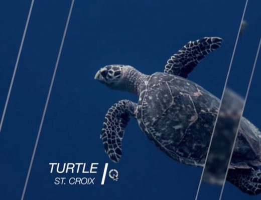Smooth Glass Slideshows in Final Cut Pro X 9